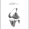 Large size sexy lingerie sexy lace transparent bra underwear comfortable and beautiful