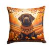 Chocolate Labrador Retriever Fall Throw Pillow Machine Washable, Indoor Outdoor Decorative Pillow for Couch, Bed or Patio, 14Hx14W