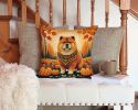 Chow Chow Fall Throw Pillow Machine Washable, Indoor Outdoor Decorative Pillow for Couch, Bed or Patio, 14Hx14W