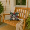 Black and Tan Pekingese Christmas PoinsettIas Throw Pillow Decorative Indoor Outdoor Accent Cushion for Couch, Bed or Patio, 14Hx14W